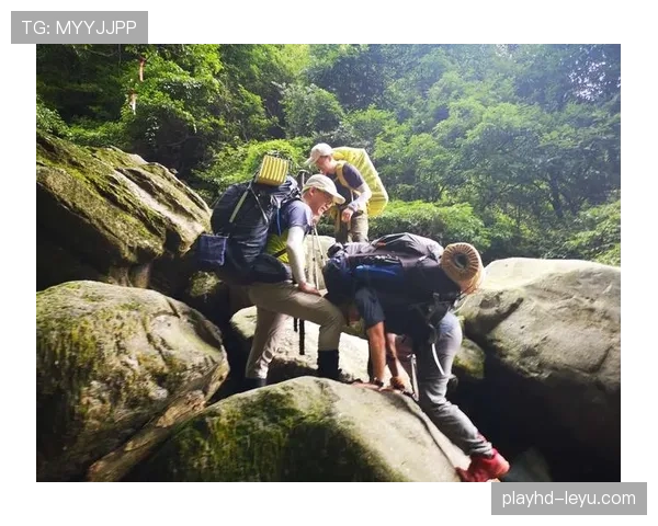 米德尔斯堡重返欧战舞台，梦想之旅点燃球迷期待