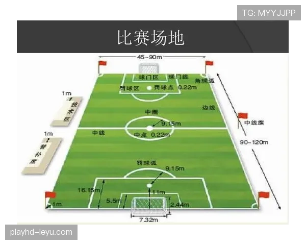 骗点行为在足球规则中如何界定及裁判应对标准揭秘